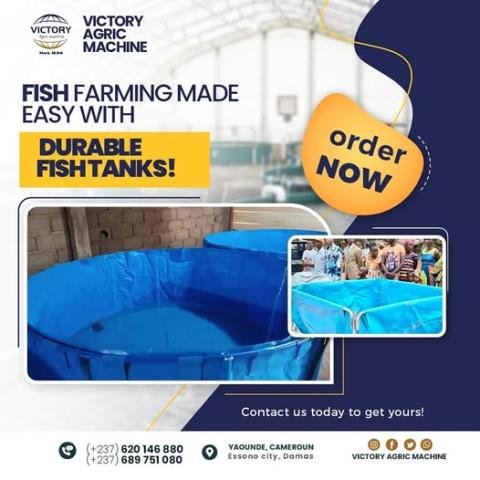 Boostez Votre Élevage Piscicole avec Nos Bassins Durables