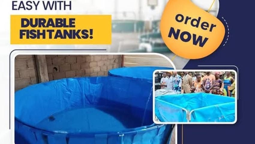 Boostez Votre Élevage Piscicole avec Nos Bassins Durables